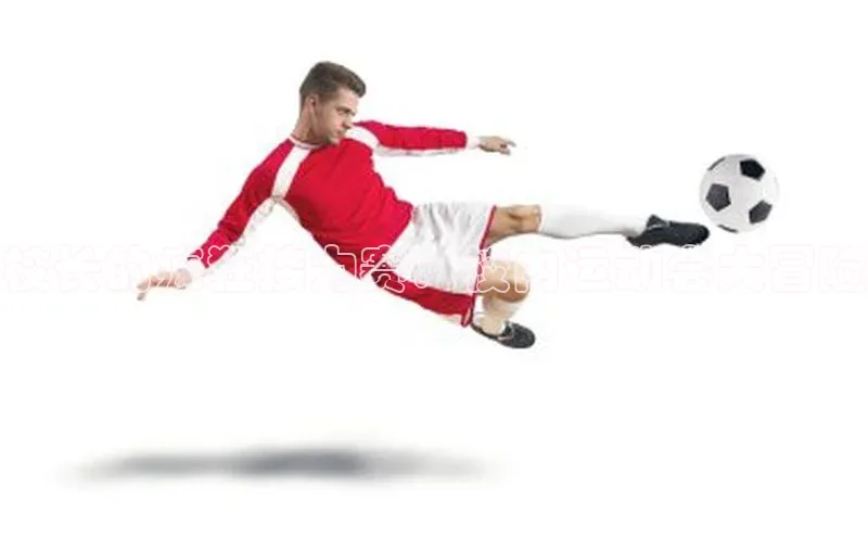 人生搏中国官网入口